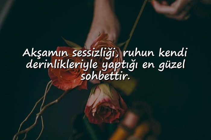 resimli İyi Akşamlar Sözleri - 1