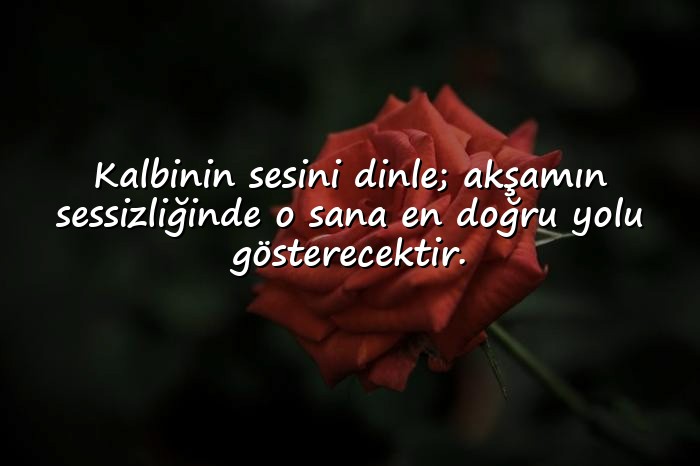 resimli İyi Akşamlar Sözleri - 16