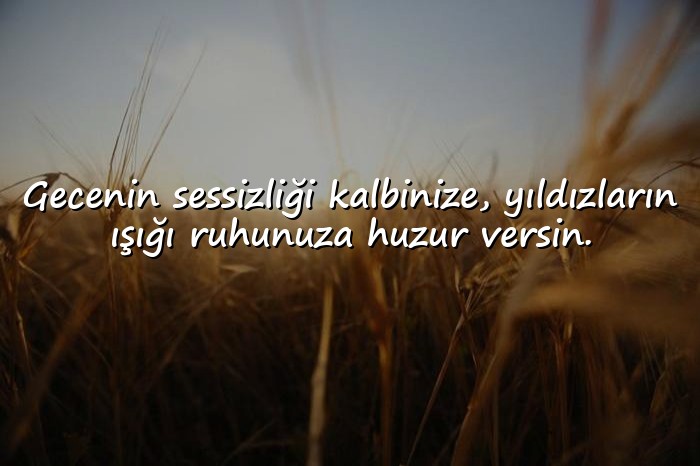 resimli İyi Akşamlar Sözleri - 11