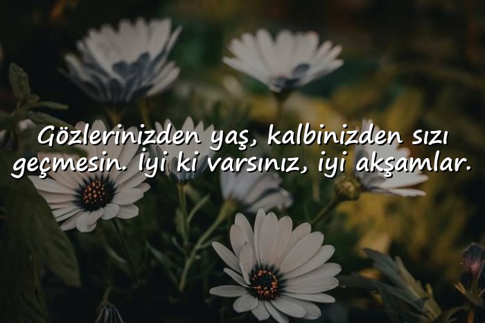 resimli İyi Akşamlar Sözleri - 1
