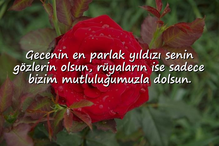 resimli iyi geceler mesajı sevgiliye - 22