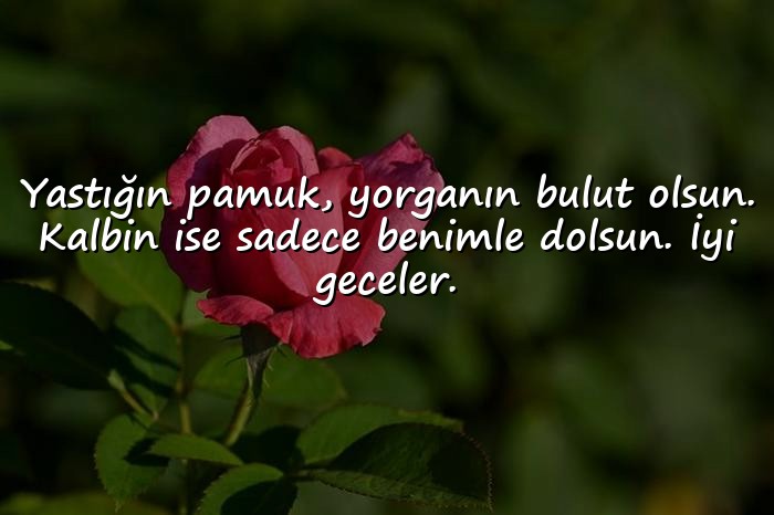 resimli iyi geceler mesajı sevgiliye - 1