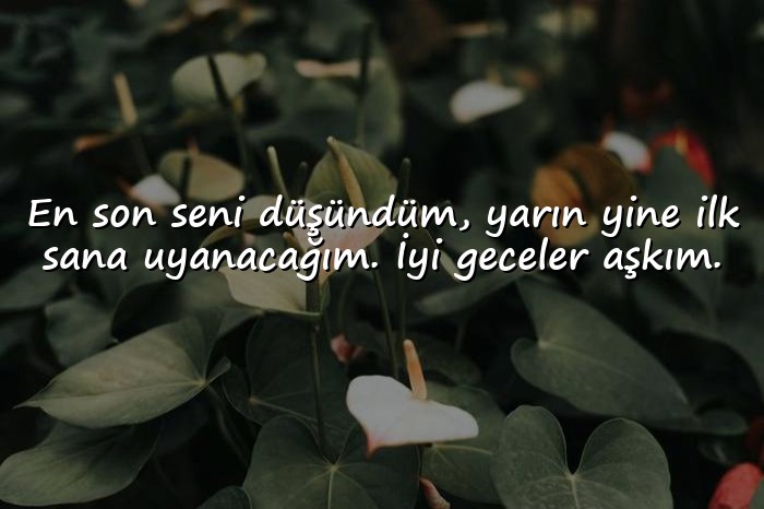 resimli İyi Geceler Sözleri - 16
