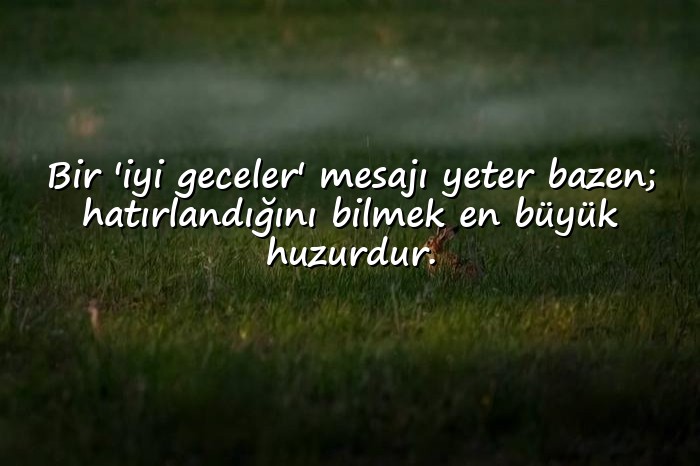 resimli İyi Geceler Sözleri - 11
