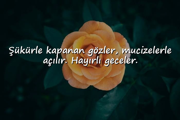 resimli İyi Geceler Sözleri - 1