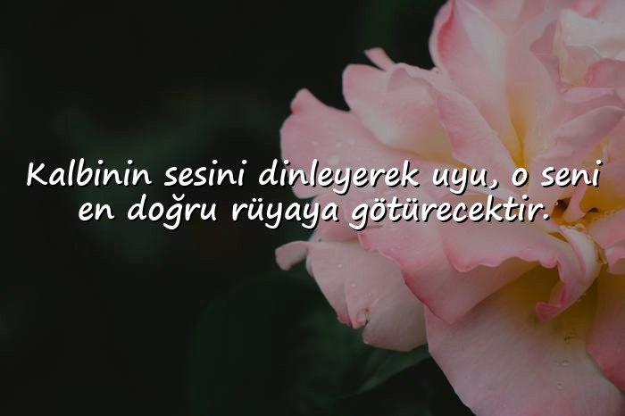 resimli İyi Geceler Sözleri - 6