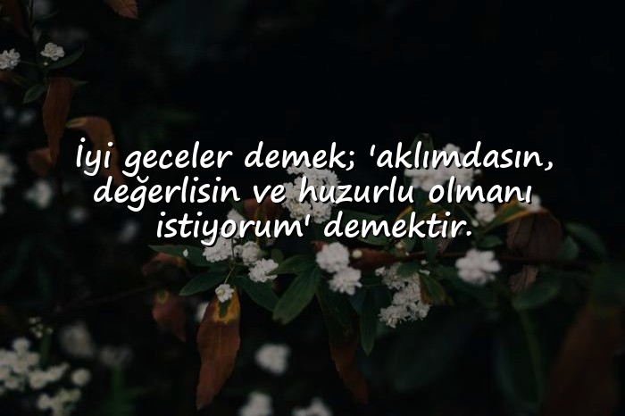 resimli İyi Geceler Sözleri - 1