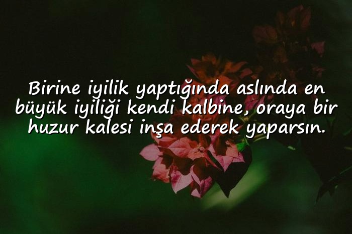 resimli iyilikle ilgili sözler - 6