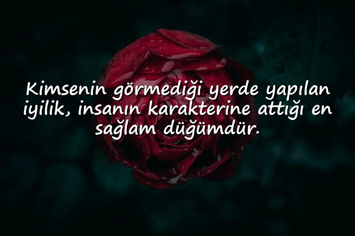 resimli iyilikle ilgili sözler - 1