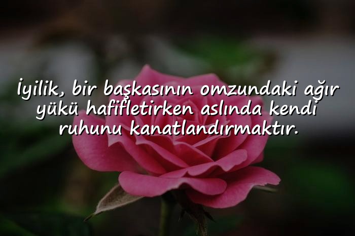 resimli iyilikle ilgili sözler - 21