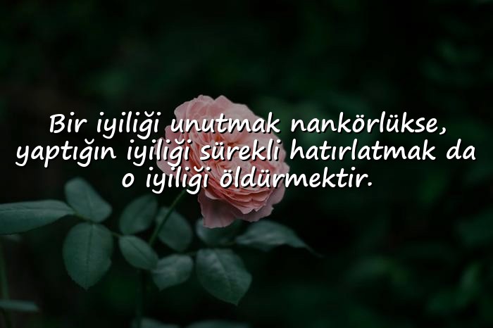 resimli iyilikle ilgili sözler - 11