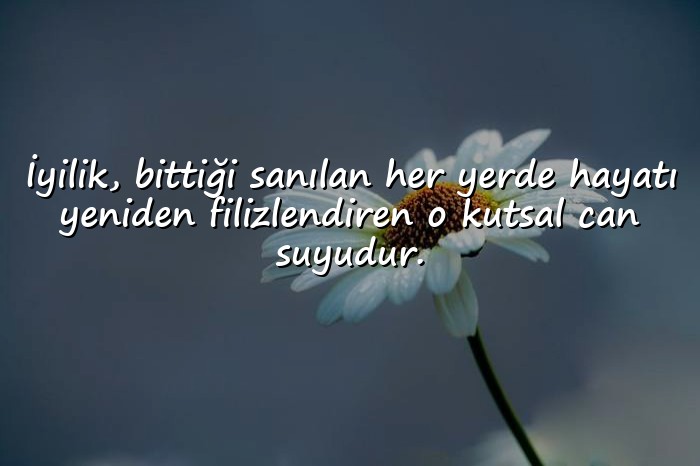 resimli iyilikle ilgili sözler - 1