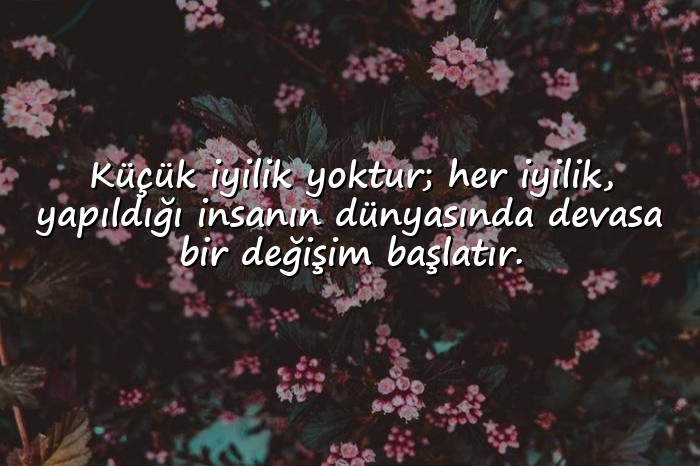 resimli kalp ile ilgili sözler - 1