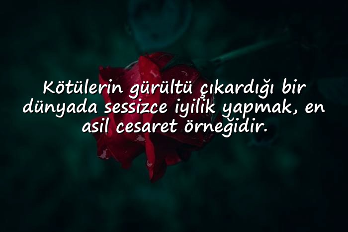 resimli kalp ile ilgili sözler - 11