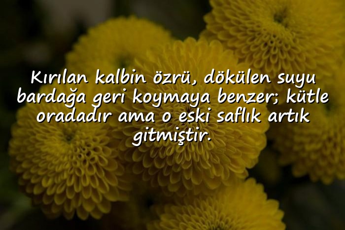 resimli kalp kırmak ile ilgili sözler - 6