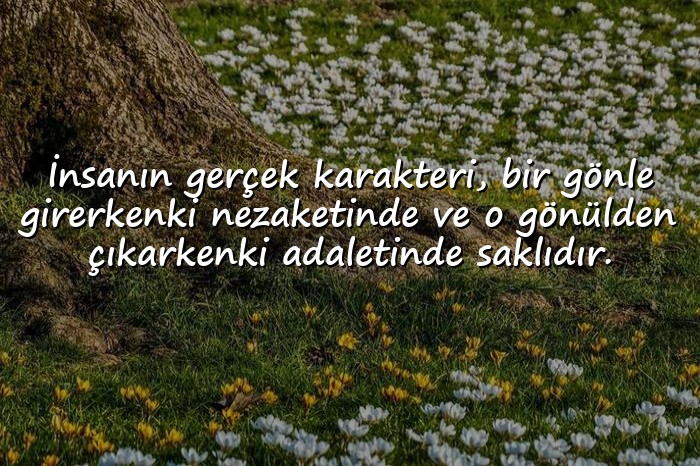resimli kalp kırmak ile ilgili sözler - 1
