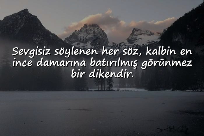 resimli kalp kırmak ile ilgili sözler - 16