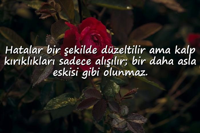 resimli kalp kırmak ile ilgili sözler - 11