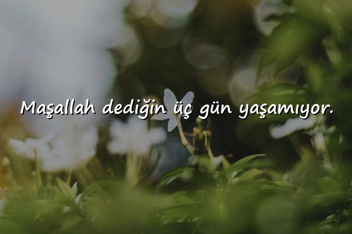 resimli kamyon arkası sözler - 21