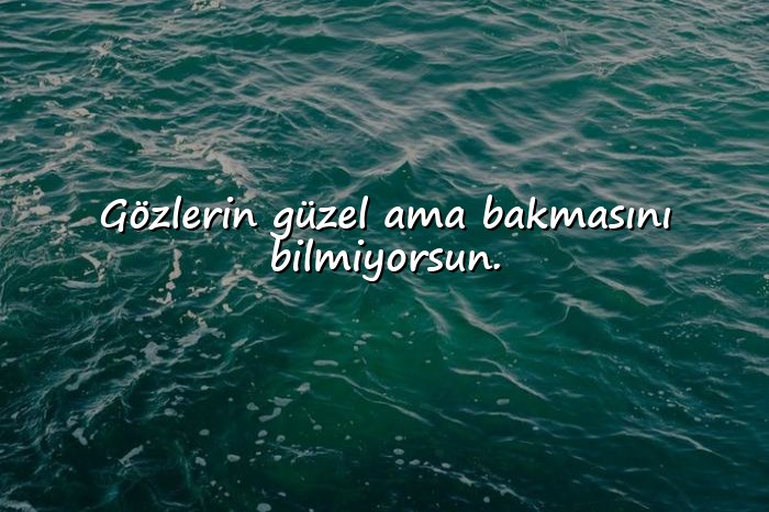 resimli kamyon arkası sözler - 16
