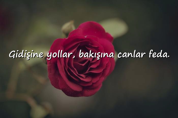 resimli kamyon arkası sözler - 11