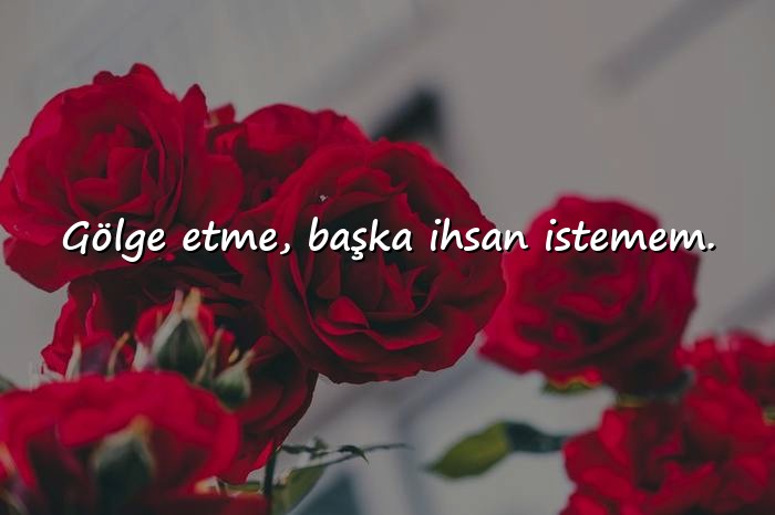 resimli kapak sözler - 11