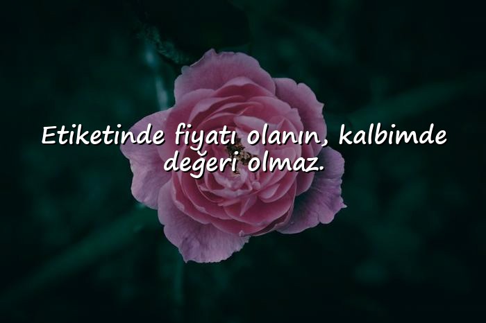 resimli kapak sözler ağır - 1