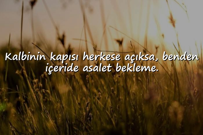 resimli kapak sözler ağır - 16