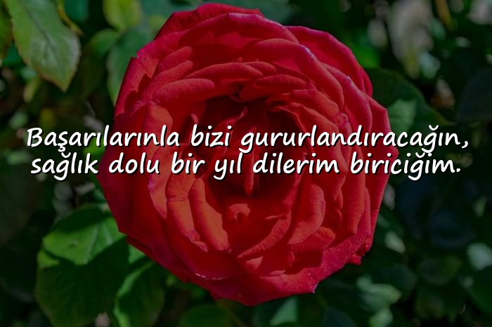 resimli Kardeşe Doğum Günü Sözleri - 11