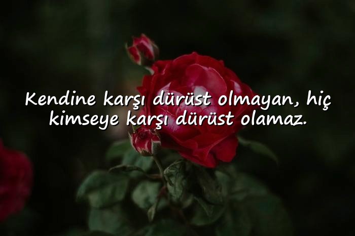 resimli kırgınlık sözleri - 10