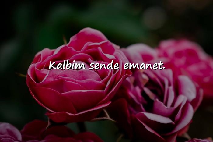 resimli kısa aşk sözleri - 2