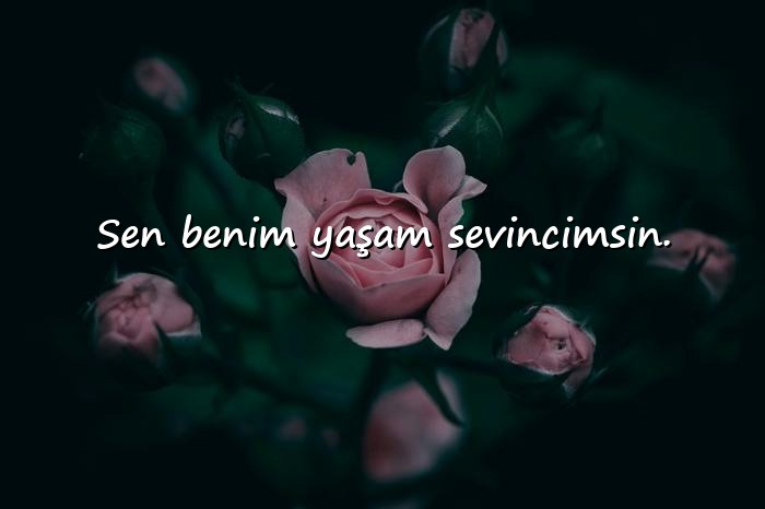 resimli kısa aşk sözleri - 22
