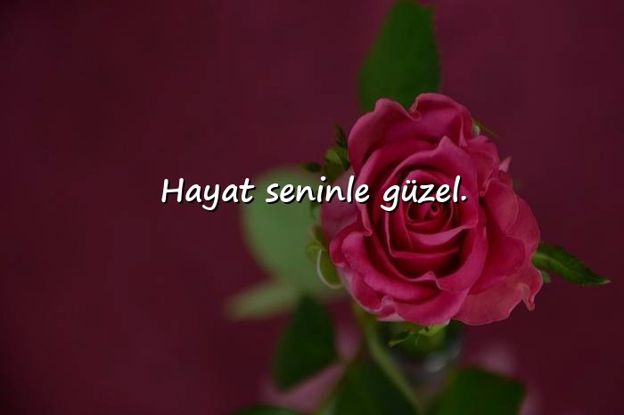 resimli kısa aşk sözleri - 7