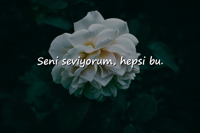 resimli kısa aşk sözleri - 1