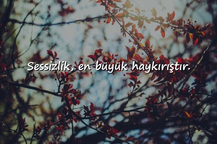resimli kısa sözler - 1