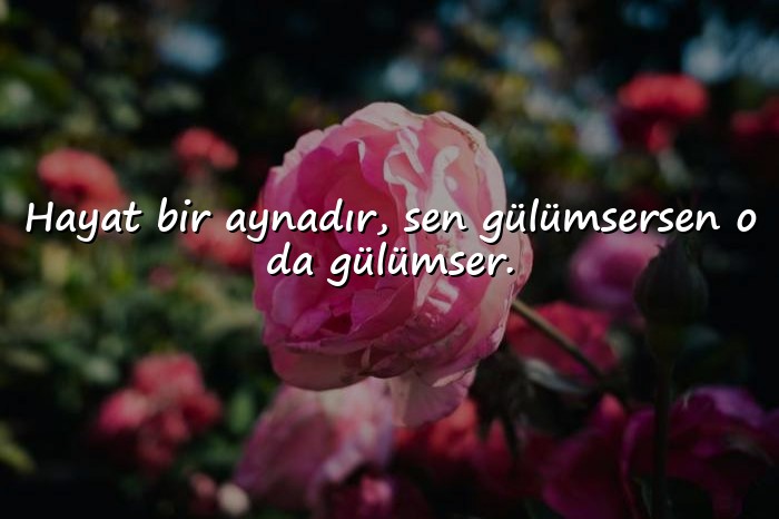 resimli kısa sözler - 6