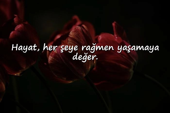 resimli kısa sözler - 1