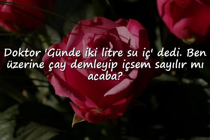resimli komik sözler - 1
