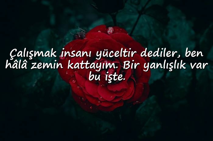resimli komik sözler - 21
