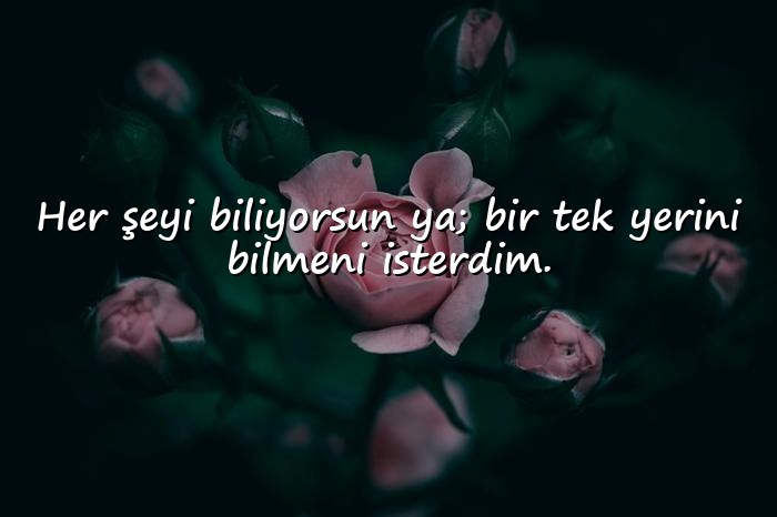 resimli laf sokucu sözler - 15