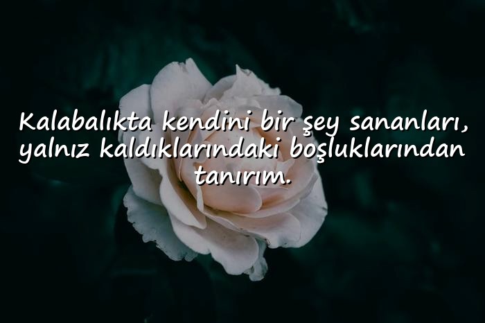 resimli laf sokucu sözler - 10