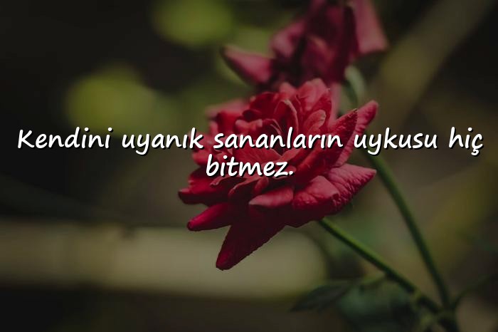 resimli laf sokucu sözler - 10
