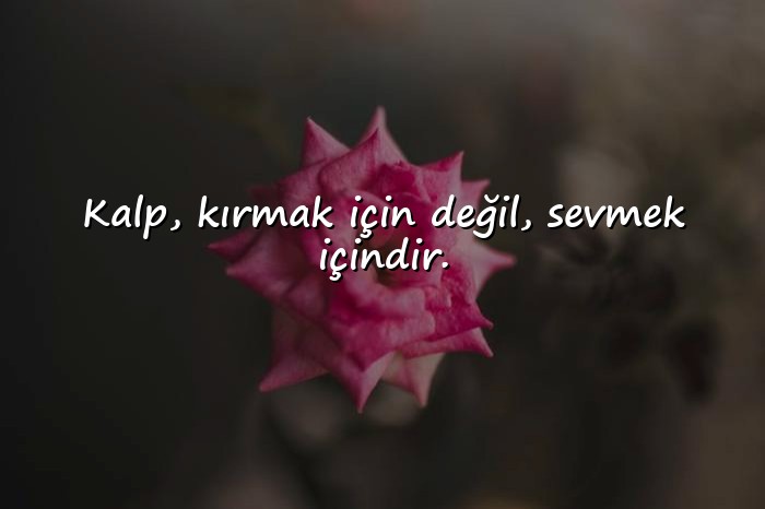 resimli manalı kısa güzel sözler - 10