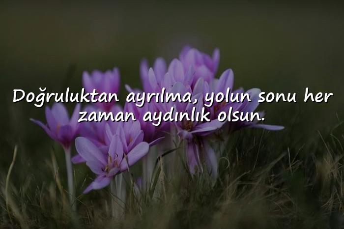 resimli manalı kısa güzel sözler - 5
