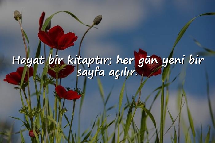 resimli manalı kısa güzel sözler - 1