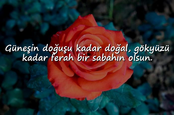 resimli Mükemmel Günaydın Mesajları - 11