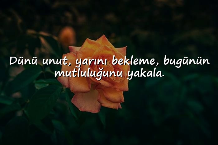 resimli mutluluk sözleri - 20