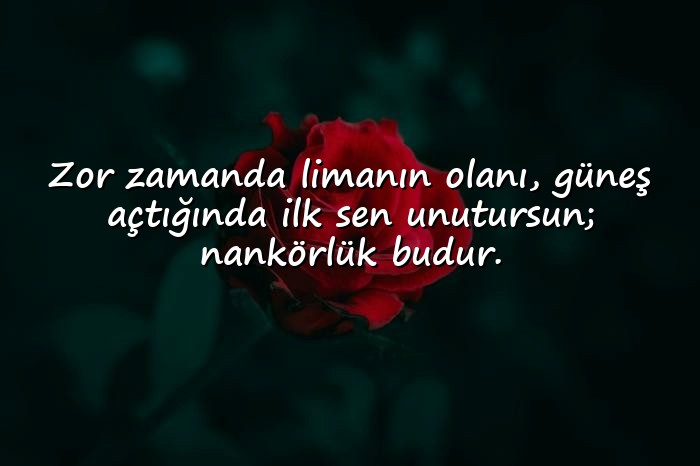 resimli nankör sözler - 1