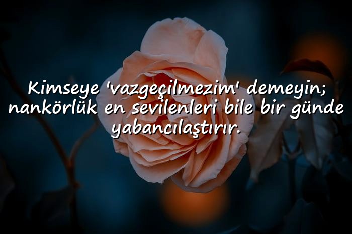 resimli nankör sözler - 21