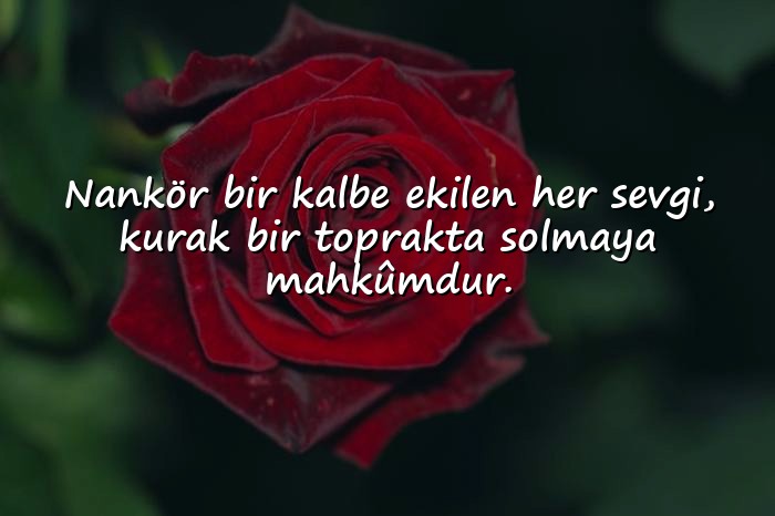 resimli nankör sözler - 16